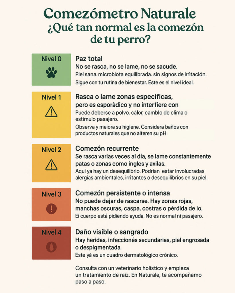 Comezón en perros: ¿Es normal o una señal de alerta?