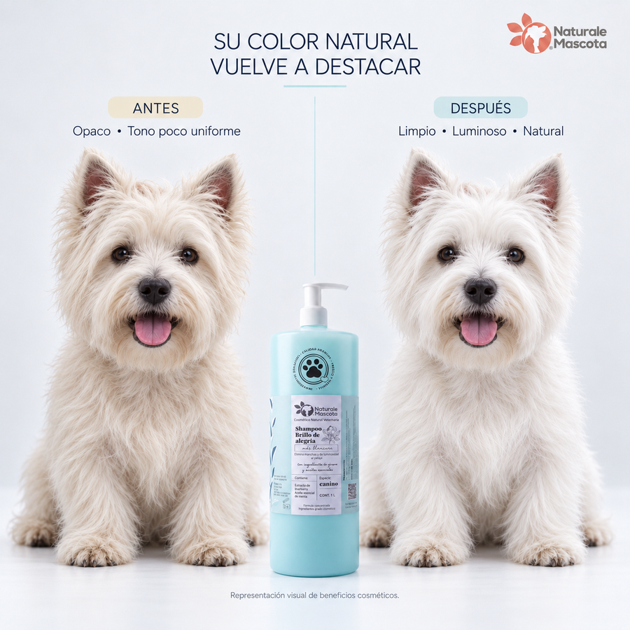 Shampoo Brillo de alegría (menta-blueberry) - 1 litro