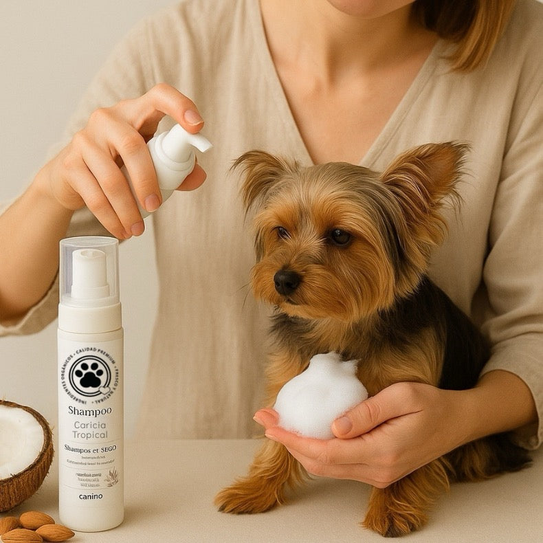 Shampoo en Seco de Avena y Coco