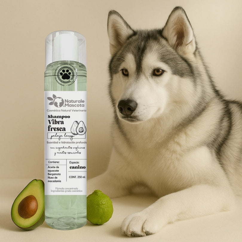 Shampoo Vibra fresca (aguacate-nuez)