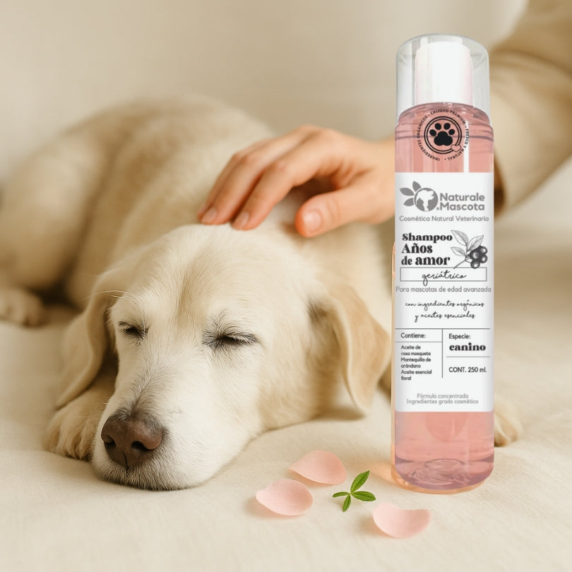 Shampoo geríatrico -edad avanzada- Arándanos- mantequillas orgánicas