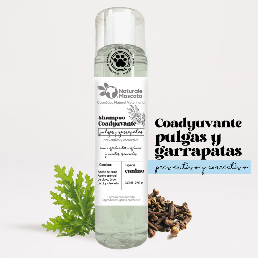 Shampoo coadyuvante (antipulgas)