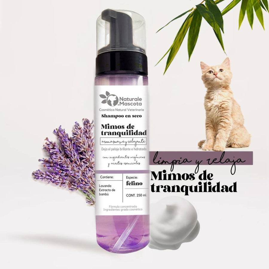 Shampoo en seco Mimos de tranquilidad/ 200 ml