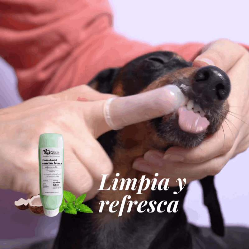 Pasta Dental Para Perro Kit Dental Para Perros Fancy Pets